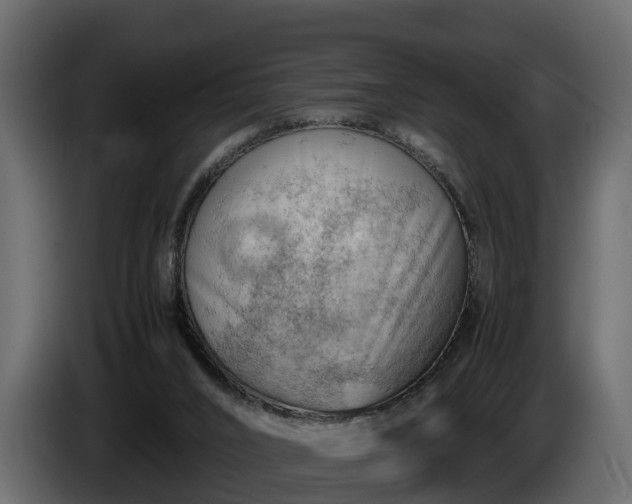 X0000085740016200703231120