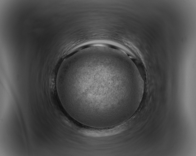 X0000085740017200703231120