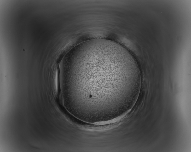 X0000085740021200703231120
