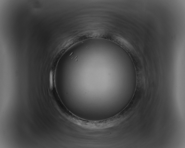 X0000085740022200703231120