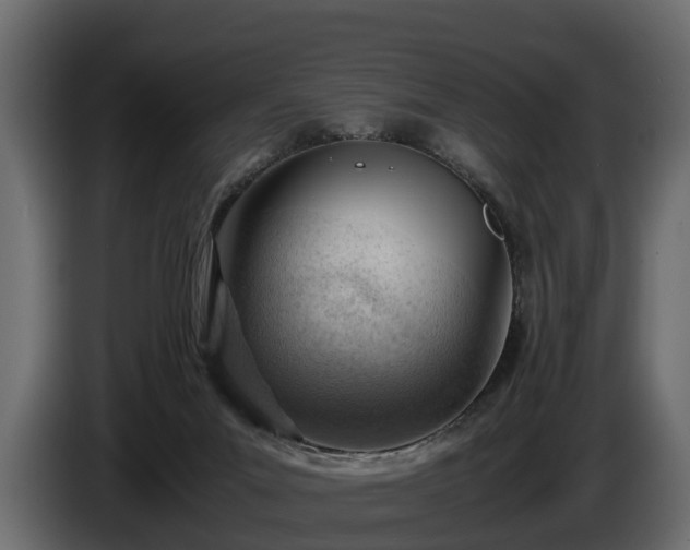 X0000085740023200703231120