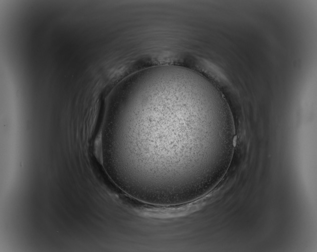 X0000085740025200703231120