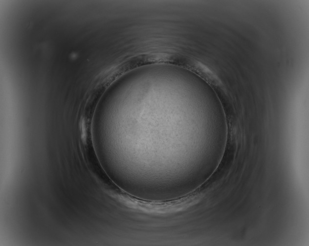X0000085740026200703231120