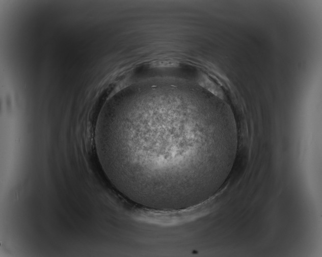 X0000085740029200703231120