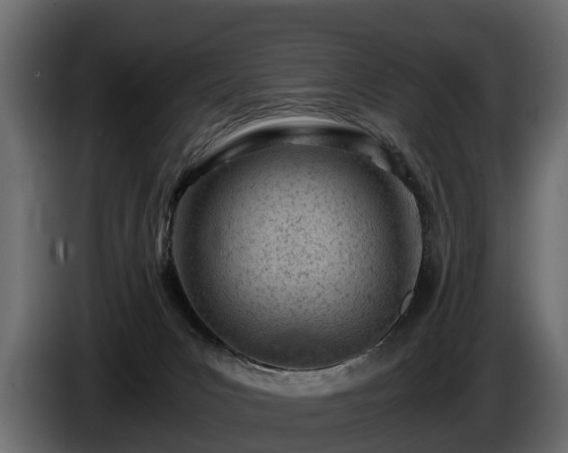 X0000085740031200703231120