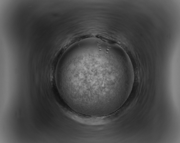 X0000085740032200703231120