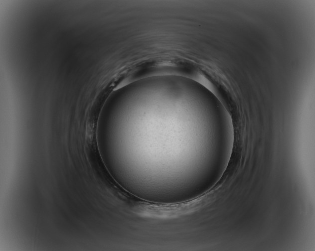 X0000085740033200703231120