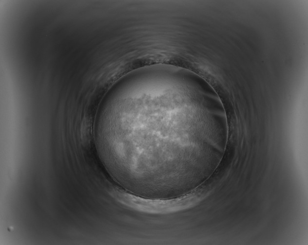 X0000085740034200703231120