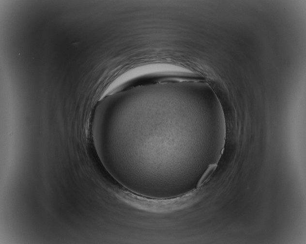 X0000085740035200703231120