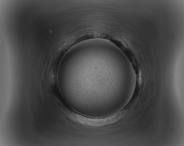 X0000085740039200703231119