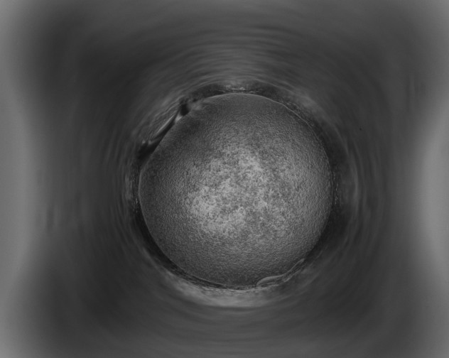X0000085740044200703231119