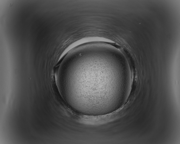 X0000085740045200703231119