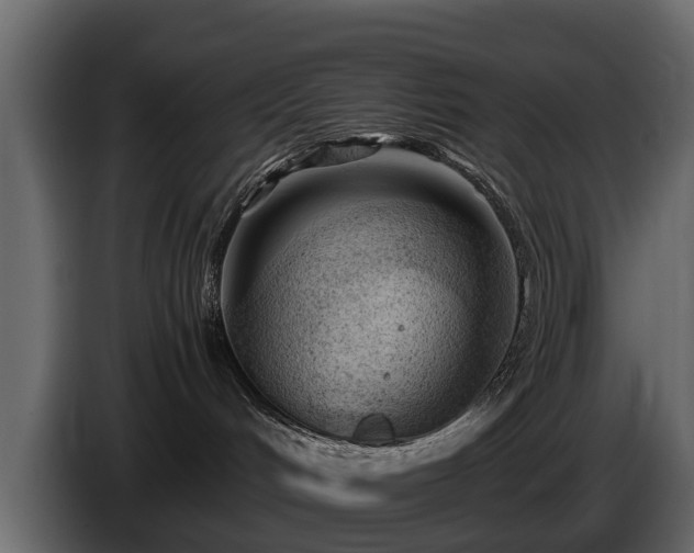 X0000085740048200703231119