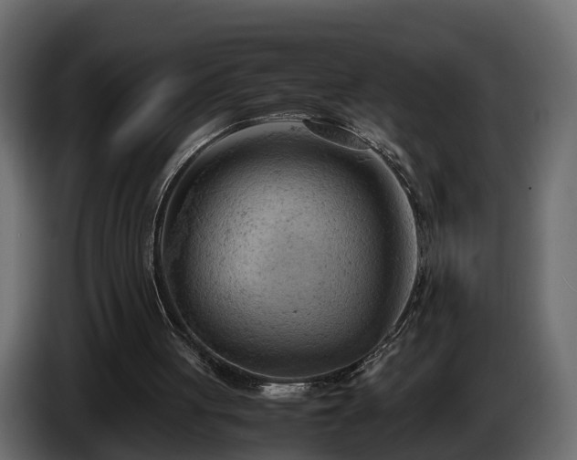 X0000085740051200703231119