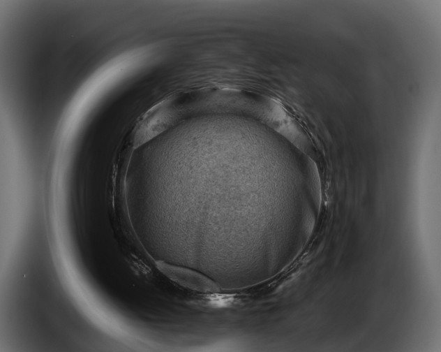 X0000085740052200703231119