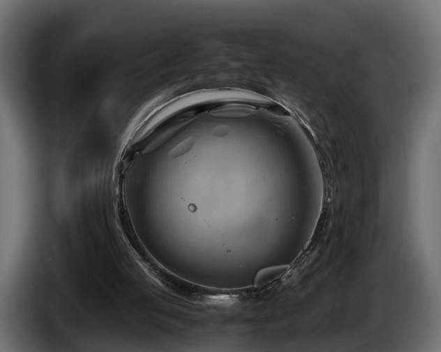 X0000085740053200703231119