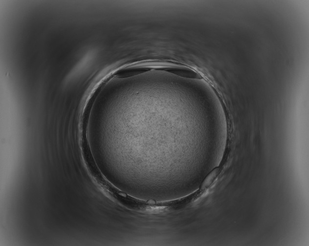 X0000085740055200703231119