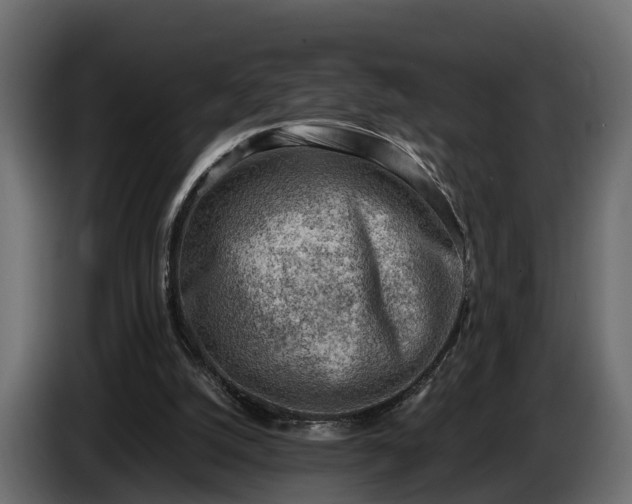 X0000085740056200703231119