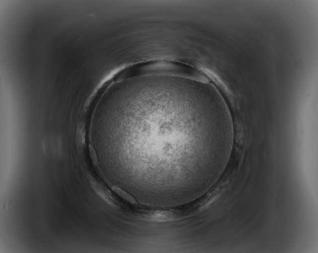 X0000085740060200703231119