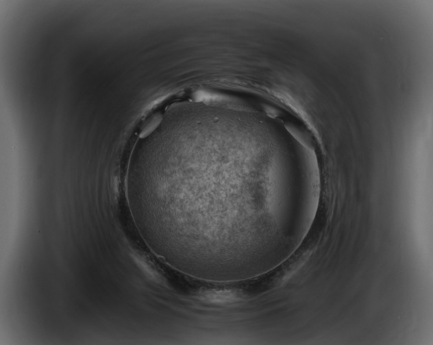 X0000085740063200703231119