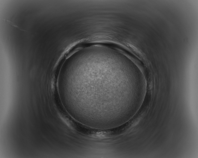 X0000085740064200703231119