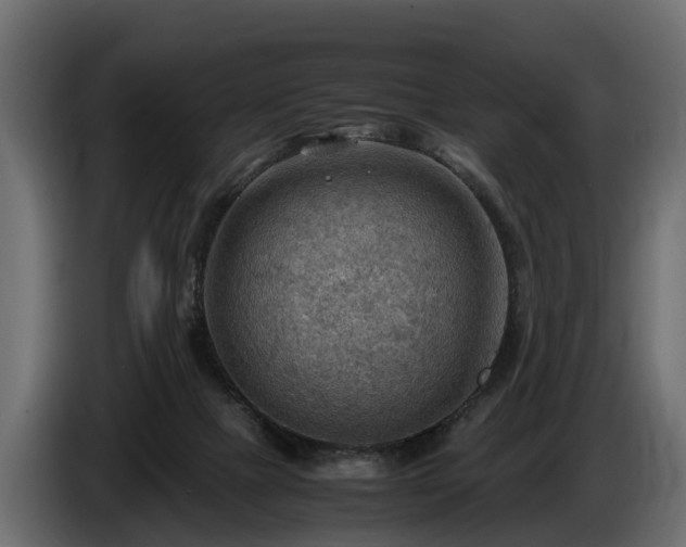 X0000085740073200703231119