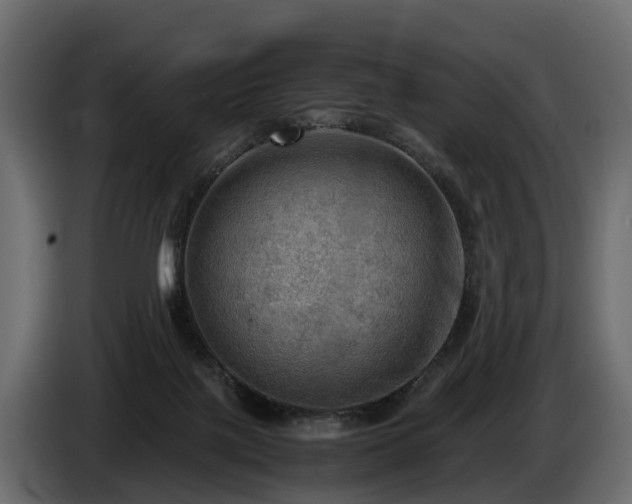 X0000085740075200703231119