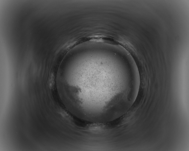 X0000085740077200703231119