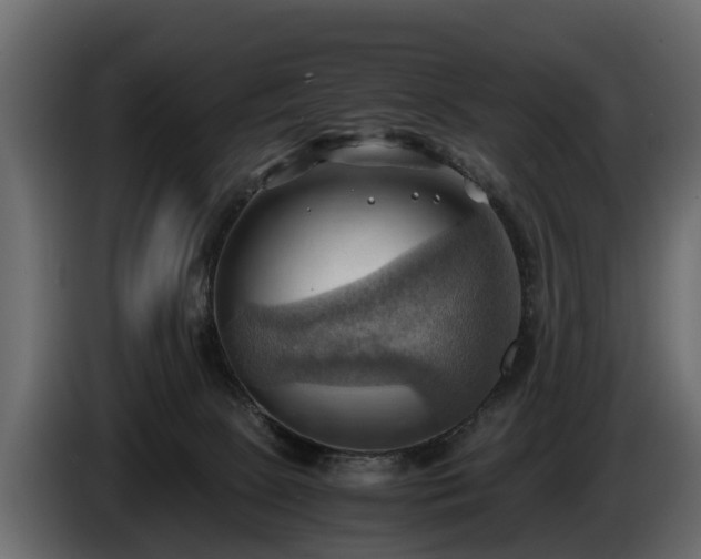 X0000085740081200703231119