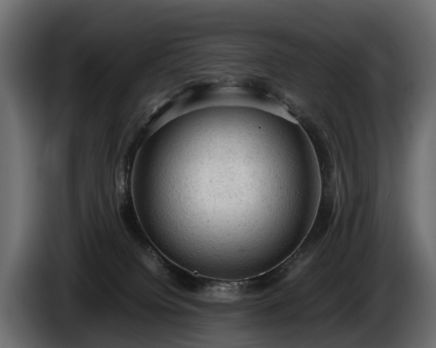 X0000085740084200703231119