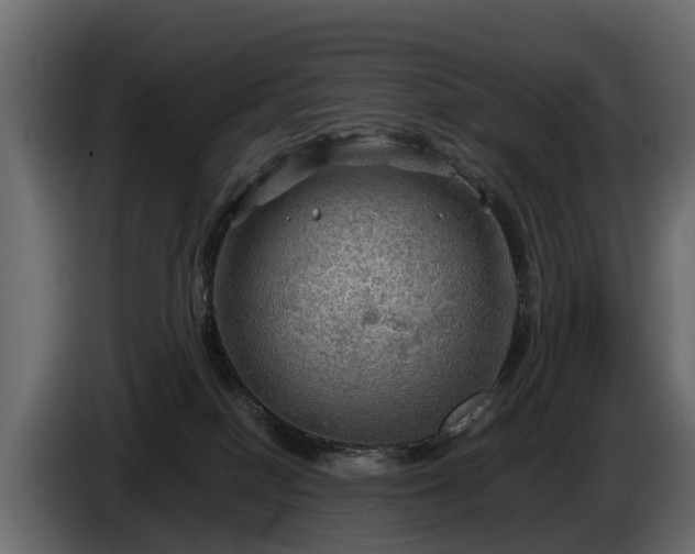 X0000085740086200703231119