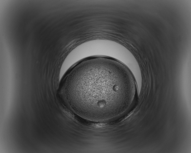X0000085740092200703231119