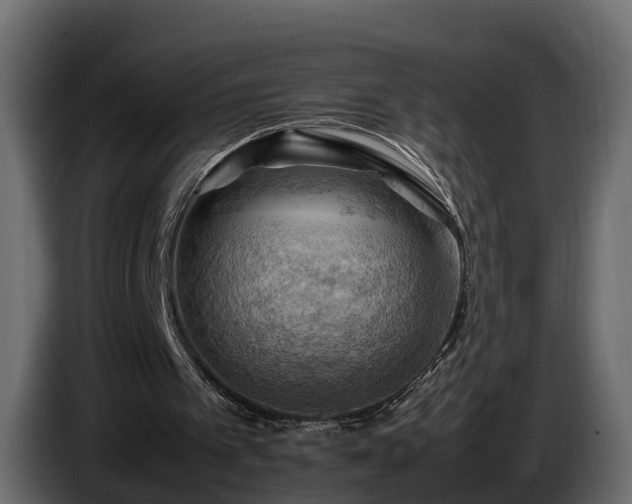 X0000085740097200703231119
