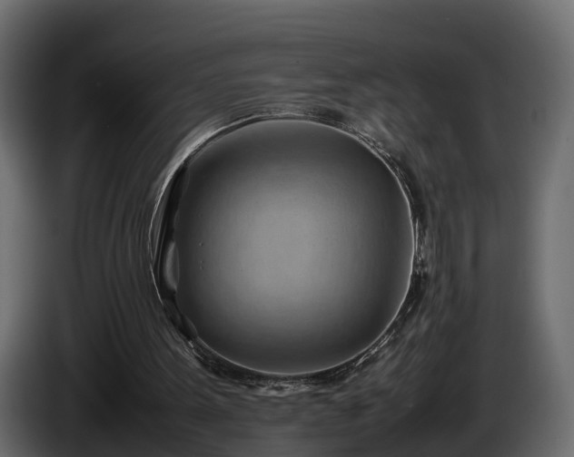 X0000085740099200703231119