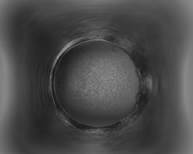X0000085740100200703231119