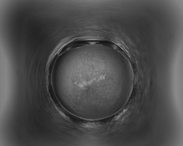 X0000085740101200703231119