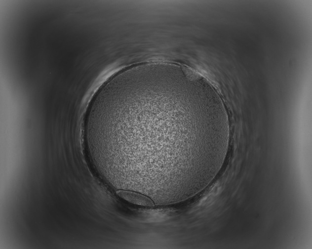 X0000085740103200703231119