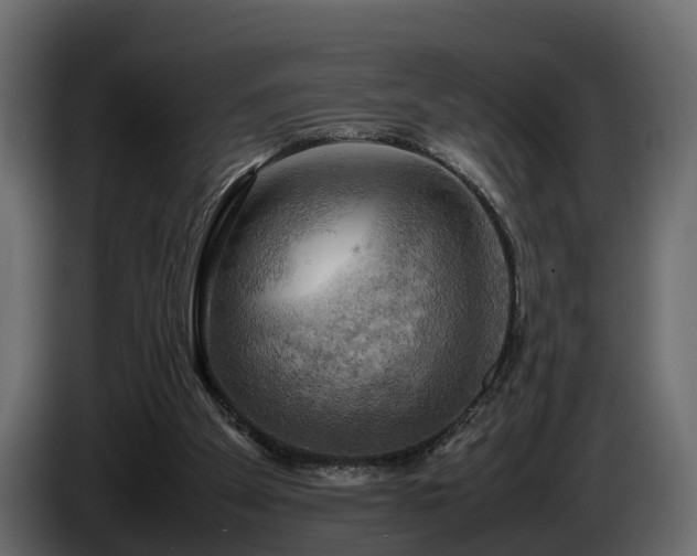 X0000085740105200703231119