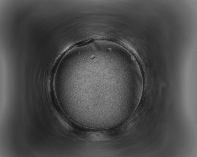 X0000085740106200703231119