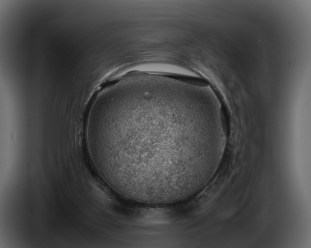 X0000085740107200703231119