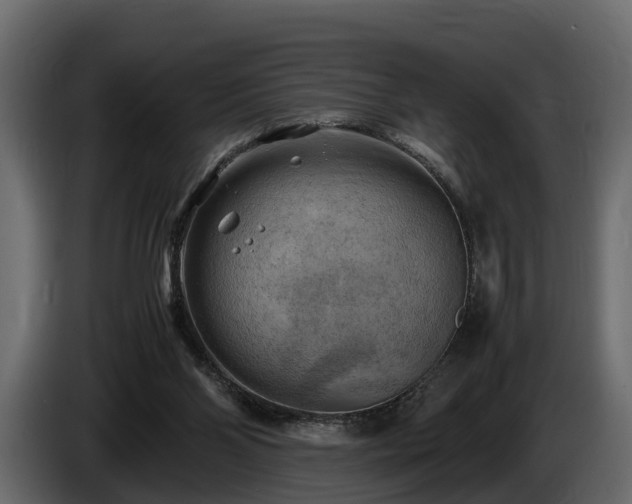 X0000085740110200703231118
