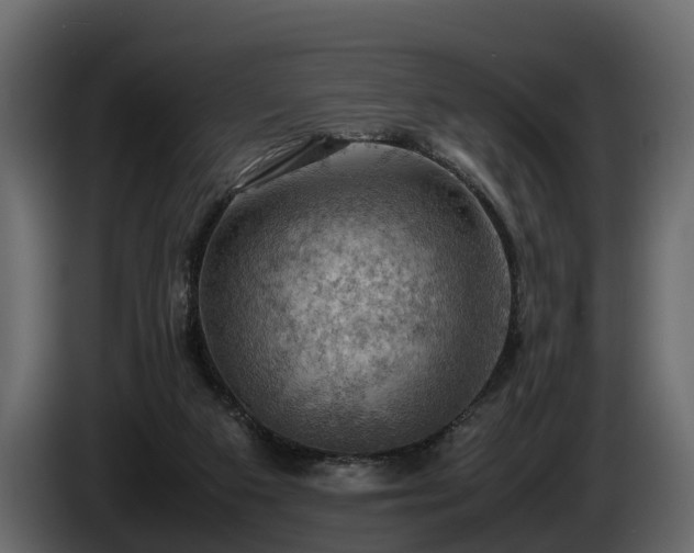 X0000085740113200703231118