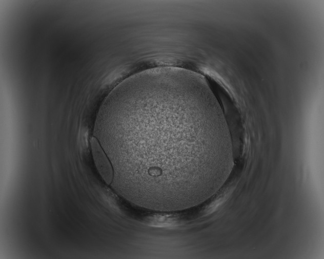 X0000085740117200703231118