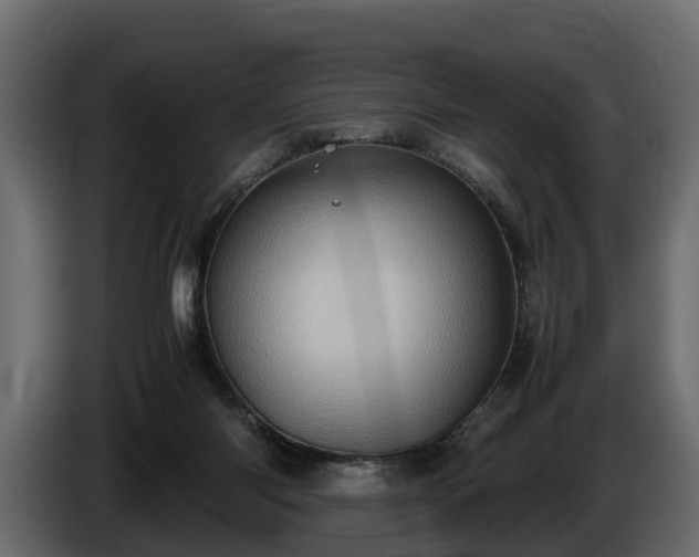 X0000085740118200703231118