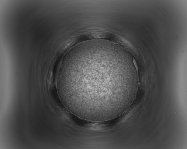 X0000085740121200703231118