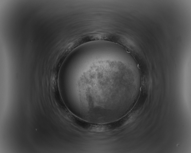 X0000085740127200703231118