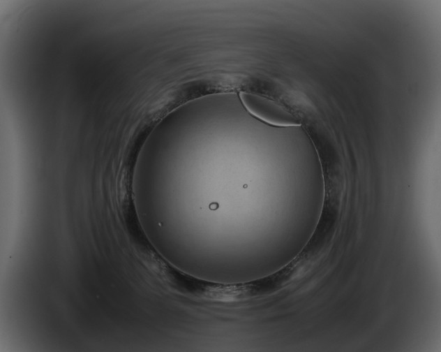X0000085740131200703231118