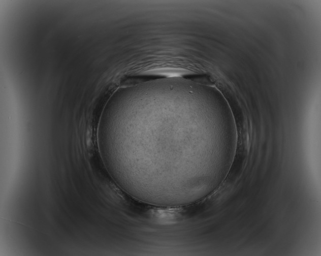 X0000085740134200703231118