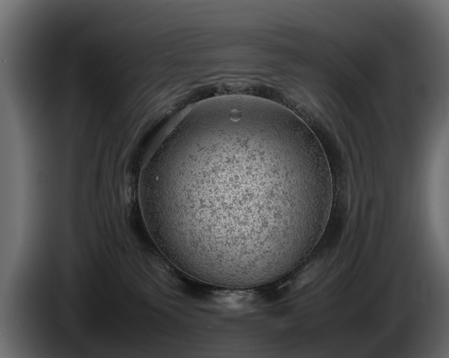 X0000085740135200703231118
