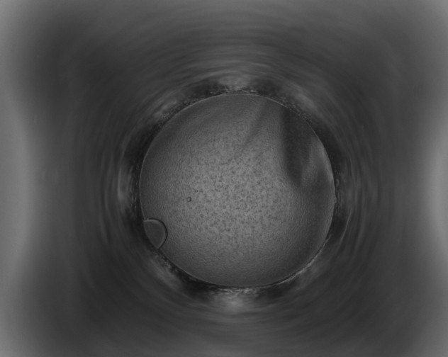X0000085740136200703231118